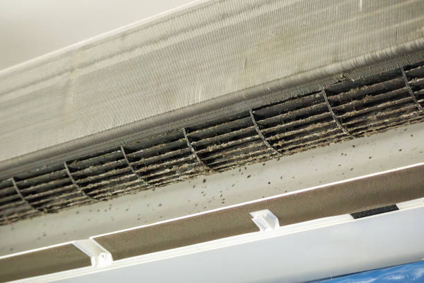 Best Residential Air Duct Cleaning  in Bonny Doon, CA